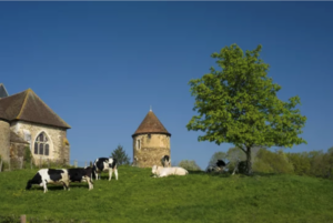 Dynamiques démographiques et entrepreneuriales