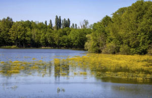 Faire reconnaître la Puisaye comme un « paysage »