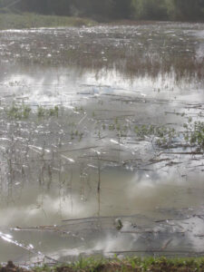 L'eau dans tous ses états: introduction