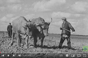 LOVE EARTH ET LA MEMOIRE DES TERRITOIRES